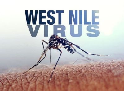 virus della West Nile 