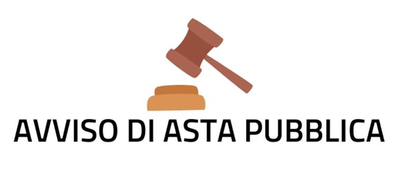 asta-pubblica.jpg_716916762