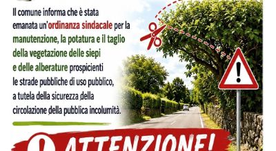 Taglio piante _page-0001