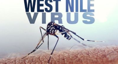 virus della West Nile 
